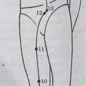 Разположение и анатомия на точки на тялото за ароматерапия. Meridian панкреас далак