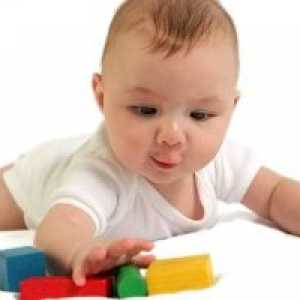 Развитието на детето от 1-ви и 7-те месеца до 1 година и 9 месеца: моторни умения, креативност,…