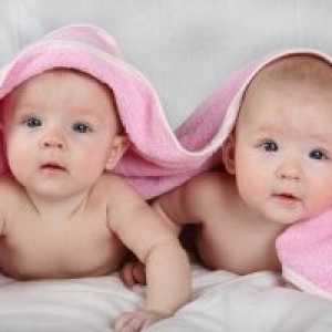 Раждането на близнаците, вероятността от раждане