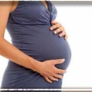Системен лупус еритематозус и бременност