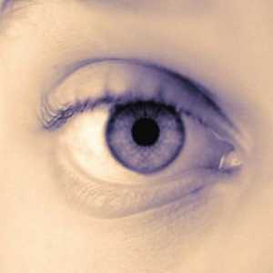 Съдови аномалии и заболявания на ретината