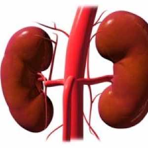 Стеноза и оклузия на бъбречните артерии: симптоми, причини, лечение, симптоми