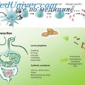 Структурата на алергена. Т-клетъчни епитопи