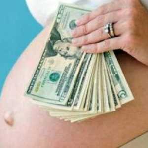 Днес сурогатно майчинство разходи са намалели значително. Нормативно регламентиране на сурогатното…