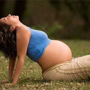 Упражнения за бременни жени. Гимнастика за бременни жени. Упражнение за бременни жени