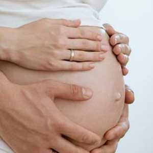 Консултации за жени на 15-ия седмица beremennosti.chto трябва да знаете, бременната жена в този…