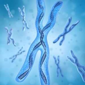 Тризомия на хромозома 13
