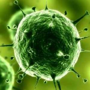 Вируси: вирусни видове, лечение, причини, симптоми, признаци, диагностика, профилактика