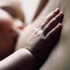 Въпроси, свързани с кърменото бебе